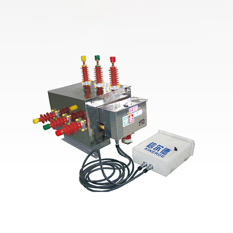 ZW□YF2-12户外真空预付费防窃电装置